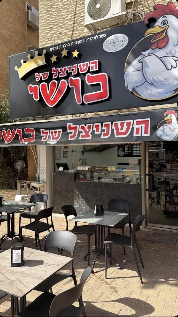 שניצל איילה