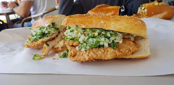 שניצל איילה